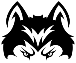 affilite links